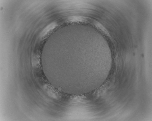 X0000070340824200607072010