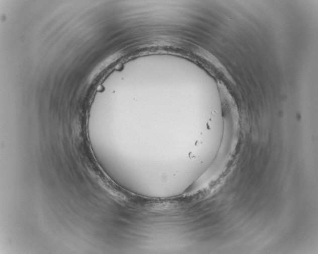 X0000070340826200607072010