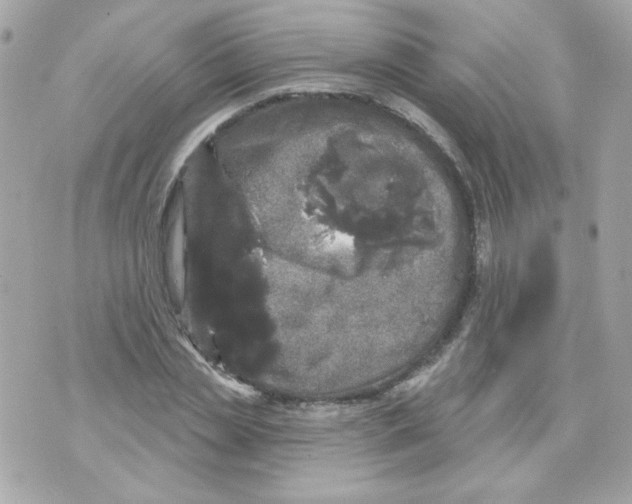 X0000070340829200607072010