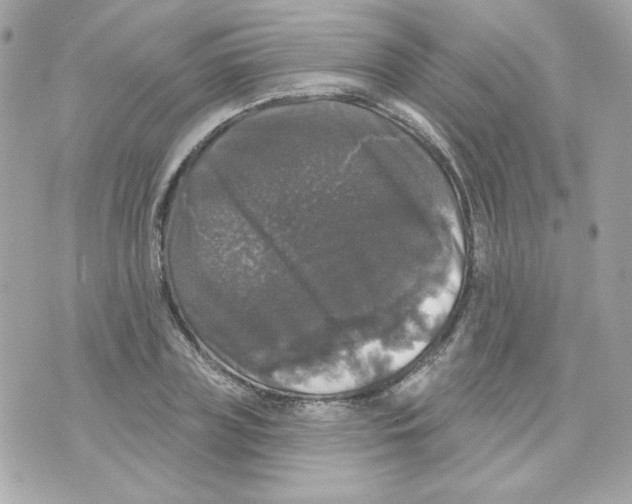 X0000070340835200607072011