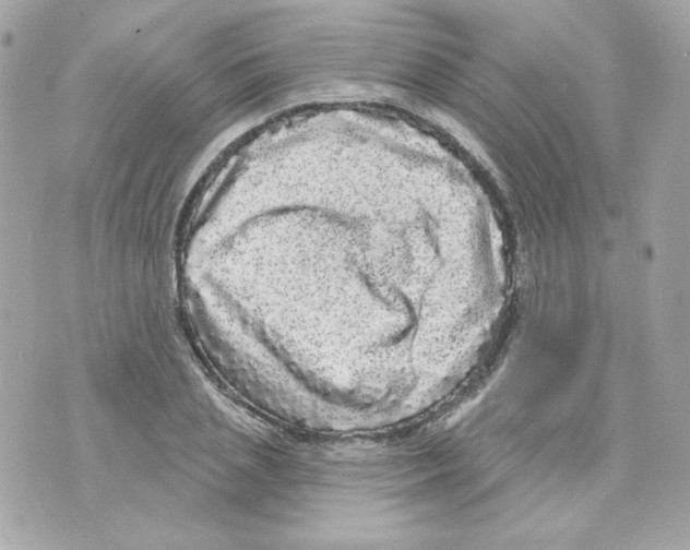 X0000070340837200607072011