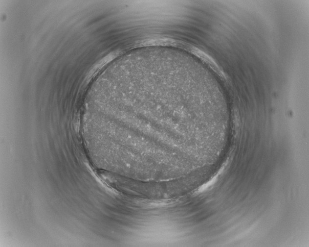 X0000070340841200607072011