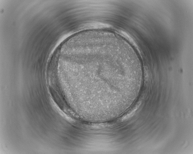 X0000070340843200607072011