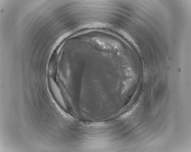 X0000070340845200607072011