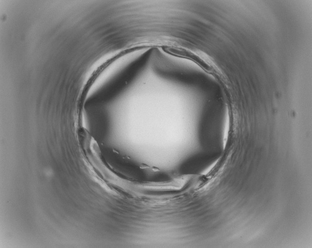 X0000070340846200607072011