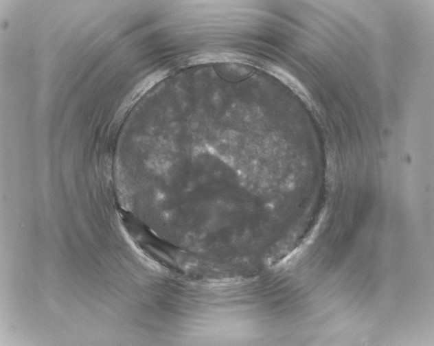 X0000070340849200607072011