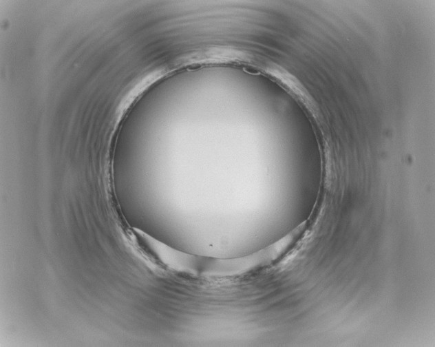 X0000070340850200607072011