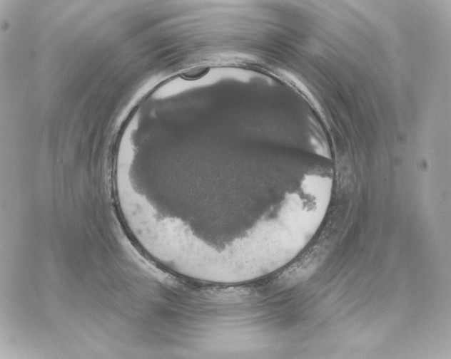 X0000070340851200607072011