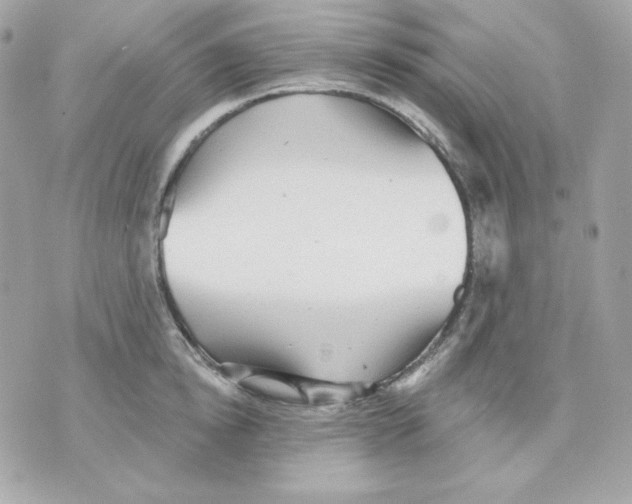 X0000070340854200607072011