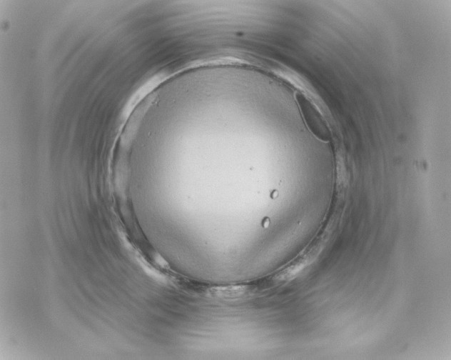 X0000070340858200607072011