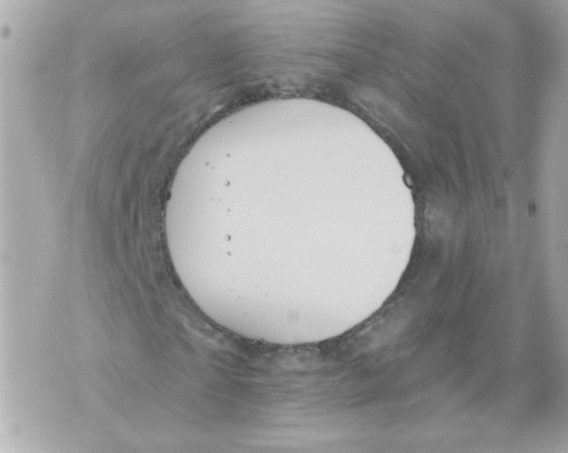 X0000070340865200607072010