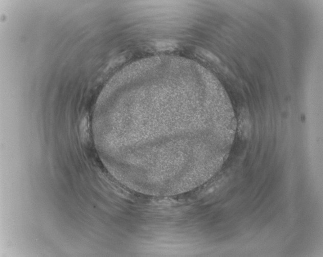 X0000070340866200607072010