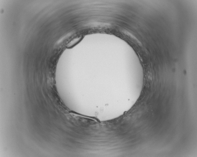 X0000070340869200607072010