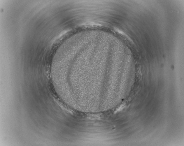 X0000070340870200607072010