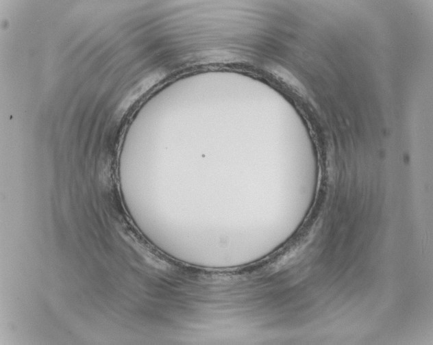 X0000070340873200607072010