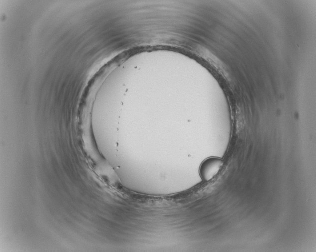 X0000070340876200607072010