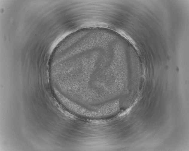 X0000070340877200607072010