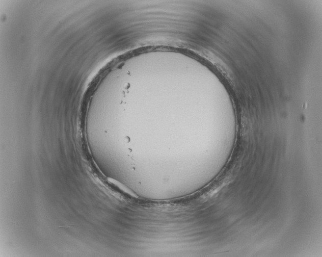 X0000070340880200607072010