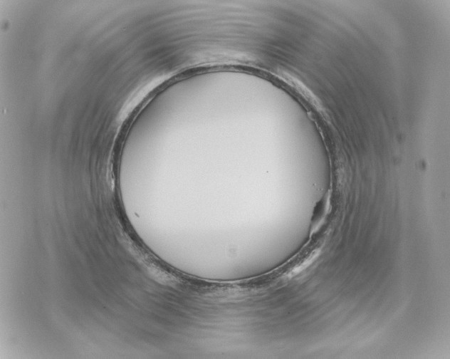 X0000070340885200607072010