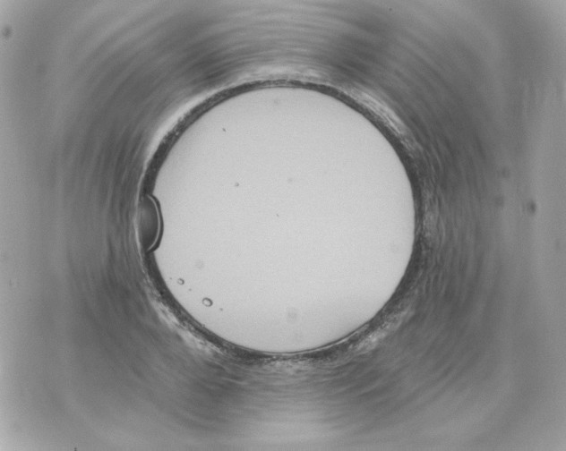 X0000070340888200607072010