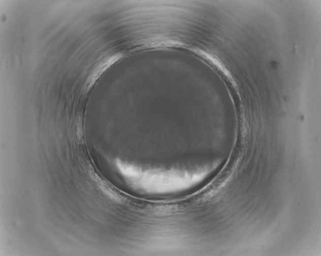 X0000070340889200607072010