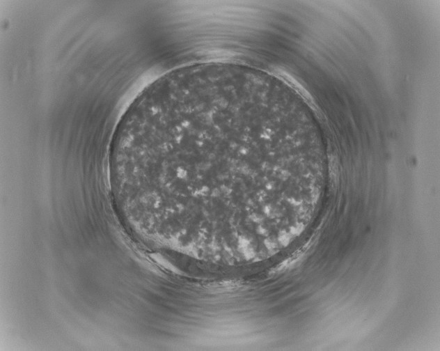 X0000070340891200607072010