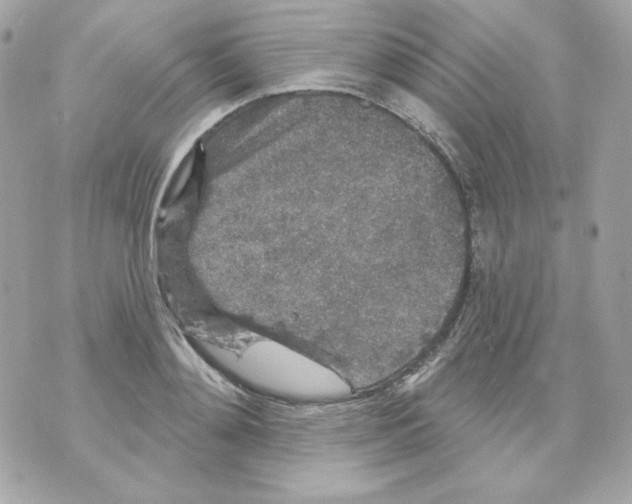 X0000070340892200607072010