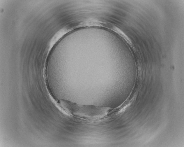 X0000070340893200607072010