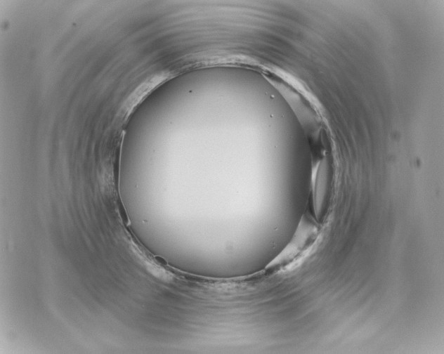 X0000070340897200607072010