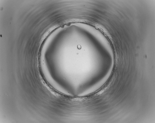 X0000070340898200607072010