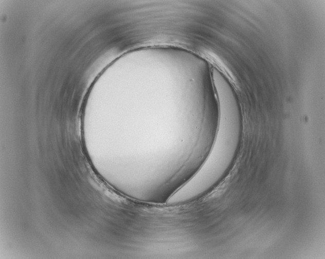 X0000070340900200607072010