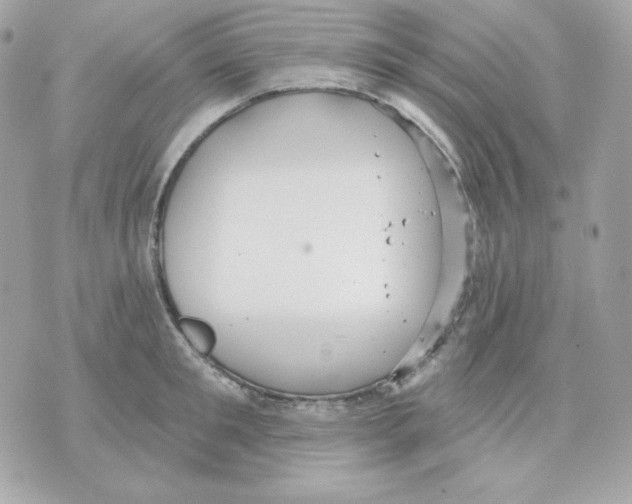 X0000070340901200607072010