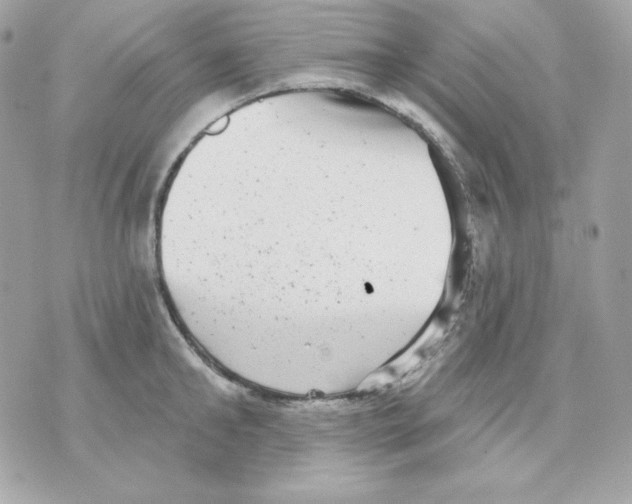 X0000070340902200607072010