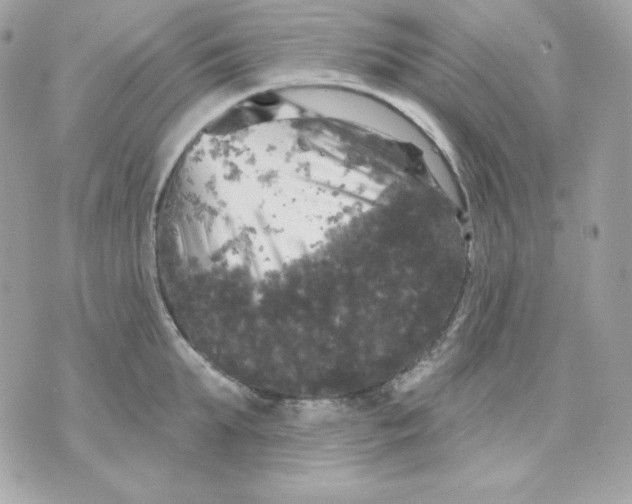 X0000070340903200607072010