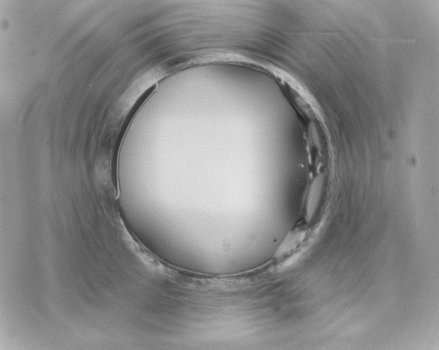 X0000070340905200607072010