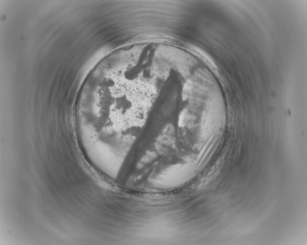 X0000070340907200607072010