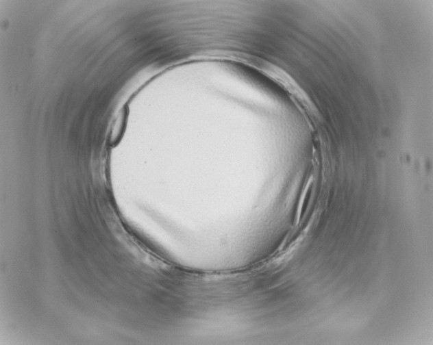 X0000070340908200607072010