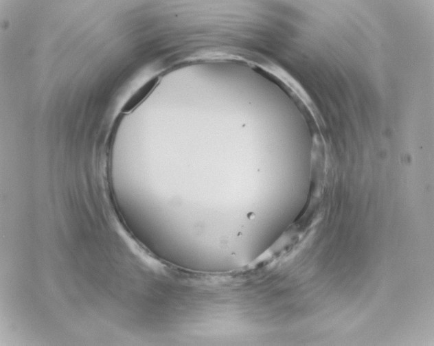 X0000070340909200607072010