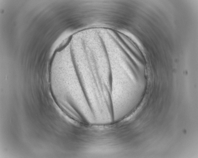 X0000070340910200607072010