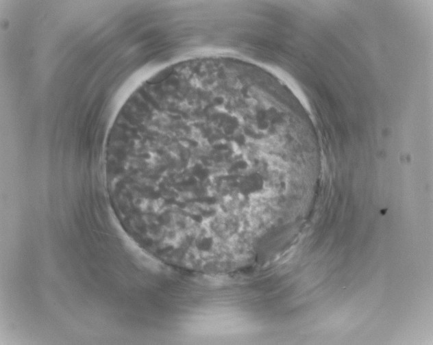 X0000070340911200607072010