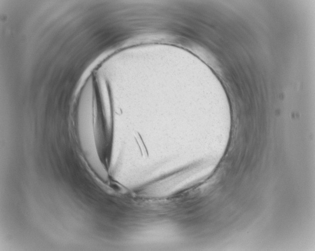 X0000070340912200607072010