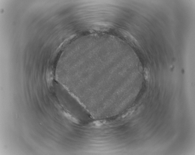 X0000070340915200607072009