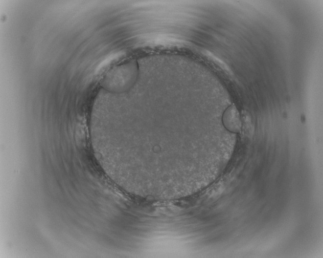 X0000070340918200607072009