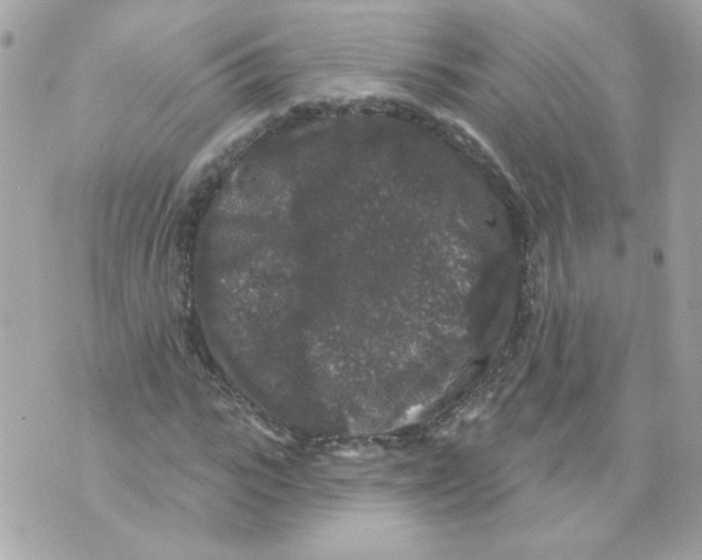 X0000070340919200607072009