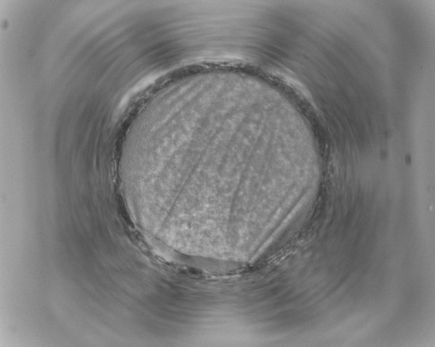 X0000070340920200607072009