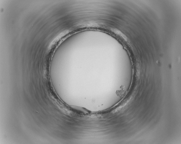 X0000070340922200607072009