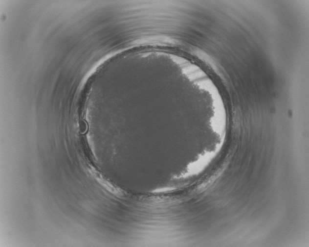 X0000070340923200607072009