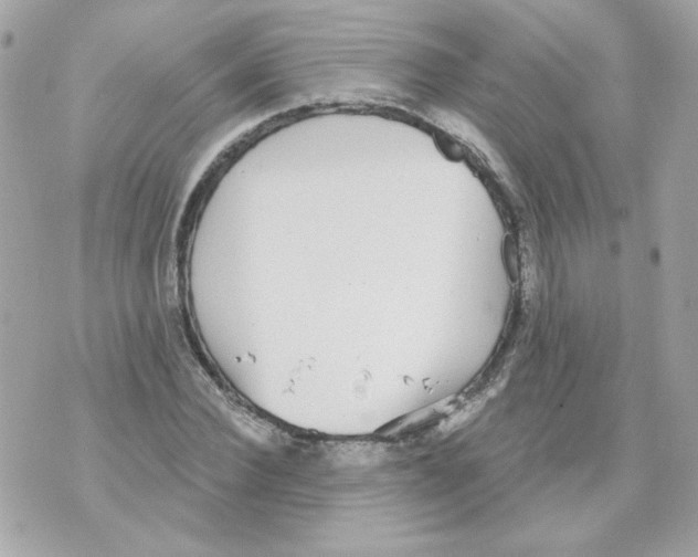 X0000070340924200607072009