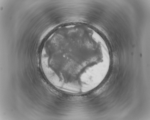 X0000070340925200607072009