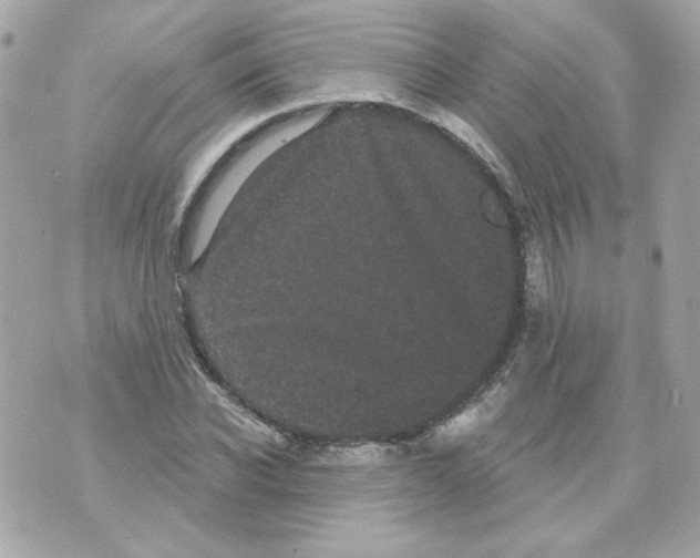 X0000070340926200607072009